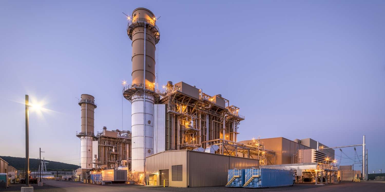 Caithness Plant landscape