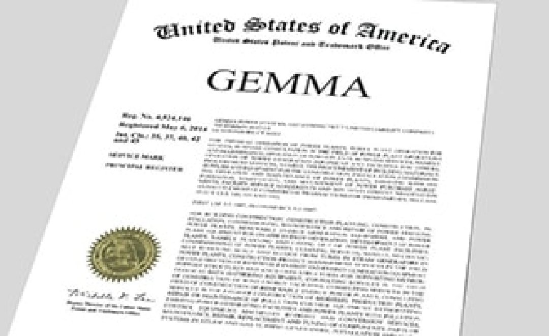 Gemma news article graphic